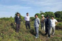 ប្រជាពលរដ្ឋទូទាំងក្រុងសេរីសោភណអរគុណ លោក លី សារី អភិបាលរងខេត្តបន្ទាយមានជ័យ ដែលបានចុះទប់ស្កាត់ទុបទឹកស្ទឹងជួនពលរដ្ឋ