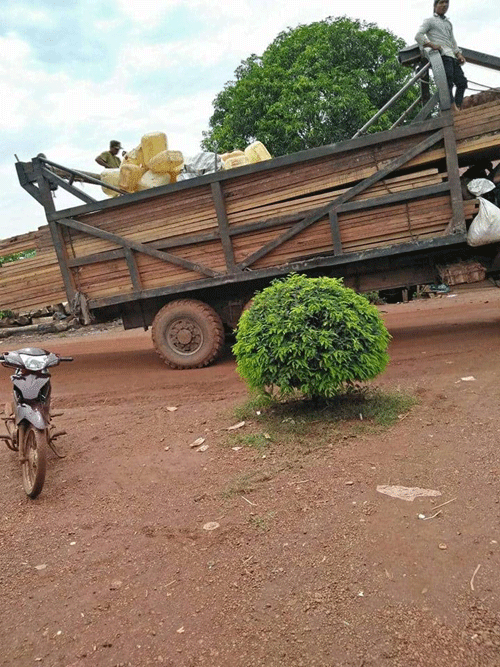 ឈ្មួញអះអាងថា មន្រ្តីឲ្យដៃ ទើបរកស៊ីឈើបានឈ្មួញអះអាងថា មន្រ្តីឲ្យដៃ ទើបរកស៊ីឈើបាន